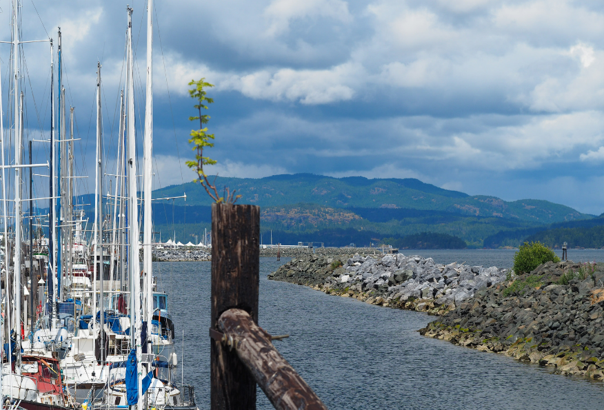 An image of the waterfront in Campbell River, BC